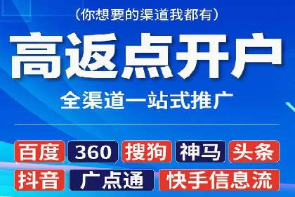 SEM推广实战：成功案例剖析